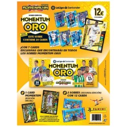 PANINI. ADRENALYN MOMENTUM 12E